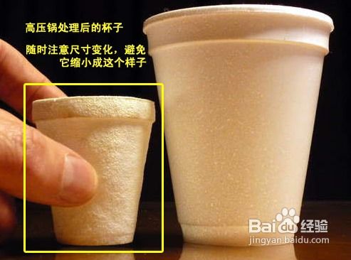 巧手匠心 將一次性泡沫塑料杯變身為創意花瓶